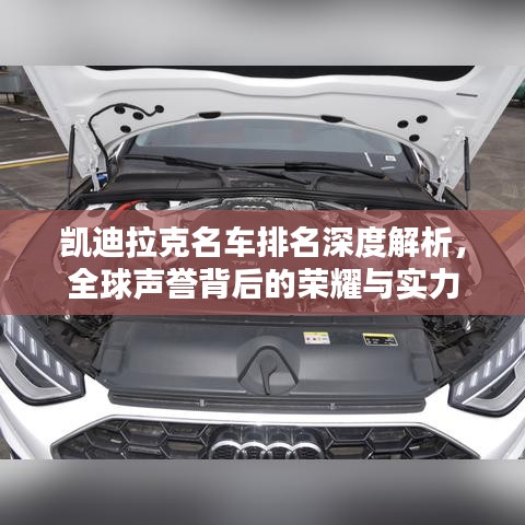 温文尔雅