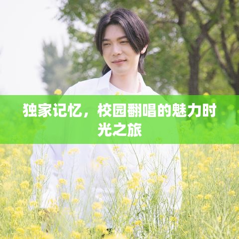 独家记忆，校园翻唱的魅力时光之旅