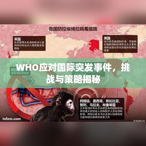 WHO应对国际突发事件，挑战与策略揭秘