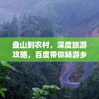 鸟吏鼈官