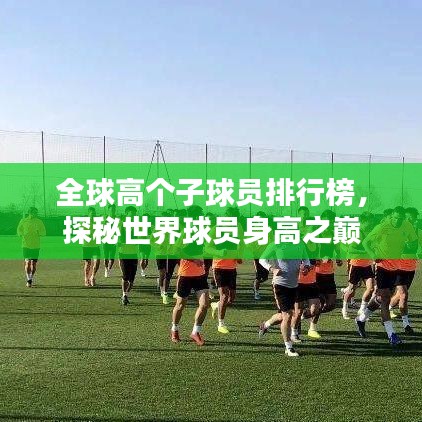全球高个子球员排行榜，探秘世界球员身高之巅