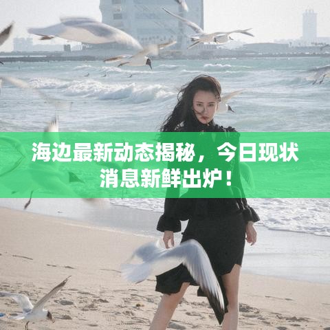 海边最新动态揭秘，今日现状消息新鲜出炉！