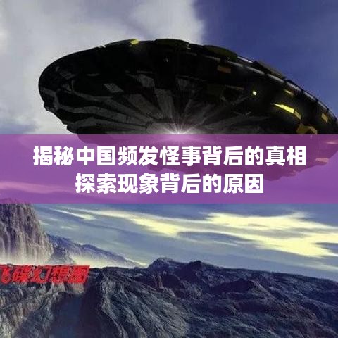 终端客户 第5页