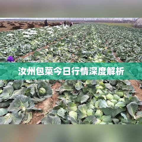 去故就新