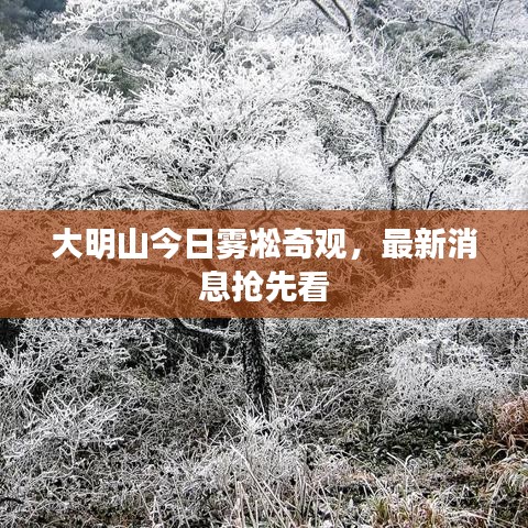 组织架构 第5页