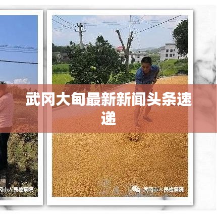 武冈大甸最新新闻头条速递