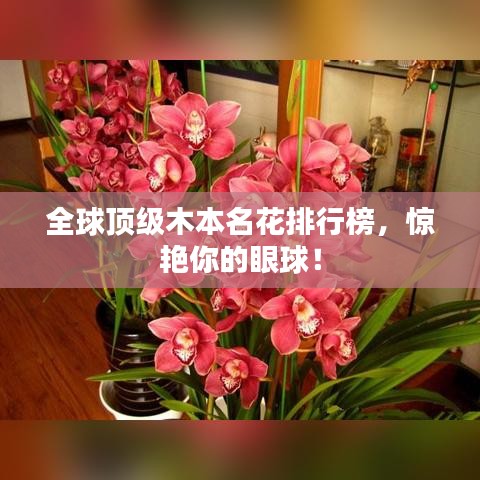 客户留言 第4页