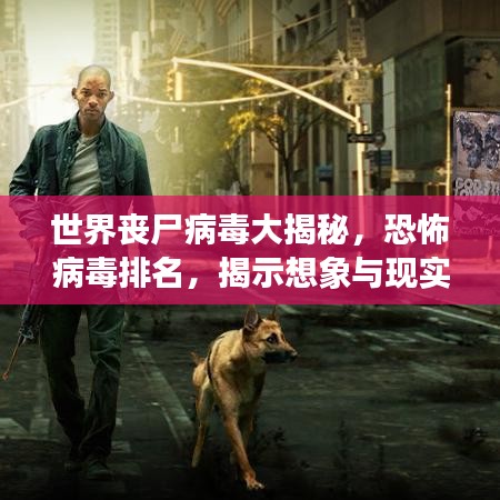 容光焕发