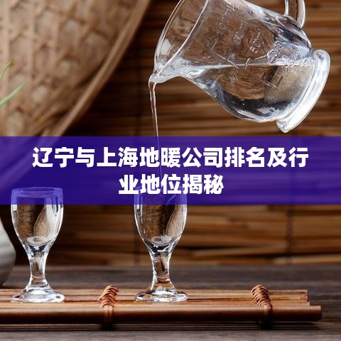 辽宁与上海地暖公司排名及行业地位揭秘