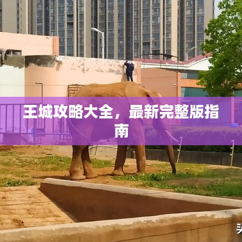王城攻略大全，最新完整版指南