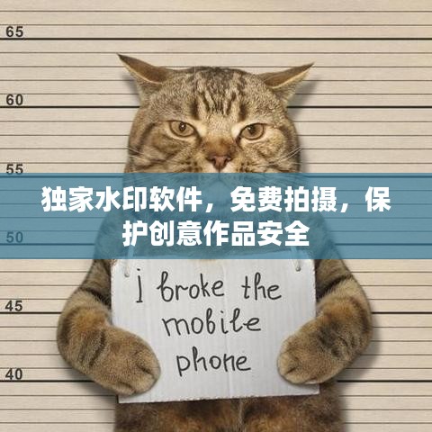 千载难逢