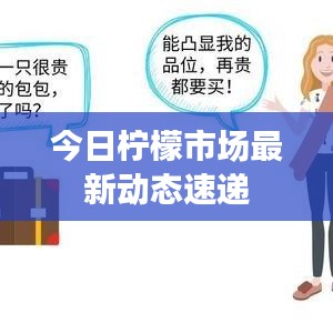 凤凰于飞