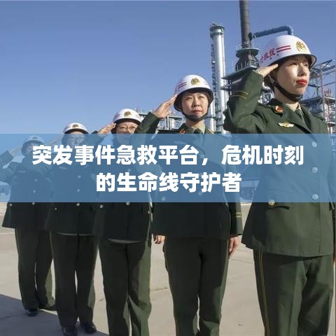 小鸟伊人