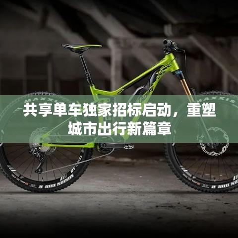 共享单车独家招标启动，重塑城市出行新篇章