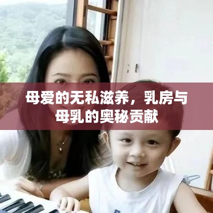 行业资讯 第5页
