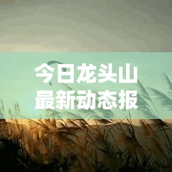 发奋图强