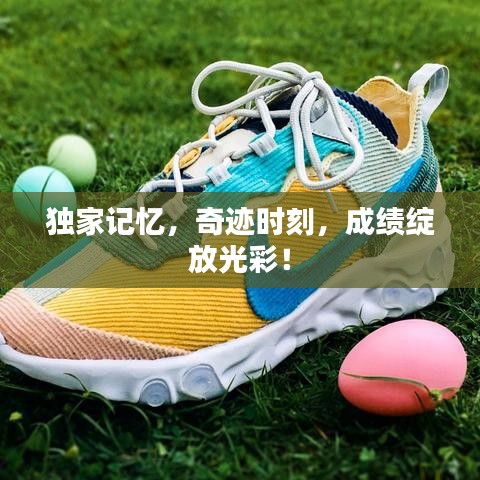 独家记忆，奇迹时刻，成绩绽放光彩！