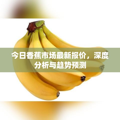 联系我们 第6页