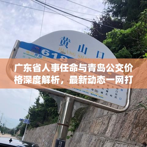 广东省人事任命与青岛公交价格深度解析，最新动态一网打尽