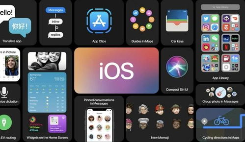 苹果版本查询，实地方案验证_iPad_v5.517，办公软件的卓越之选，助力个人与团队效率飞跃