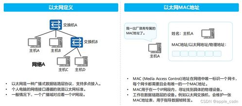 SAS最新版本全面数据解析执行_Q_v2.142软件评测介绍