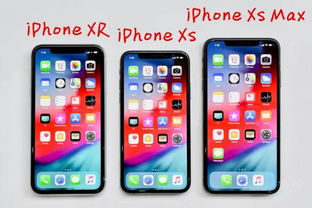 苹果可以刷低版本吗？理论研究解析及苹果款v9.877免费下载指南