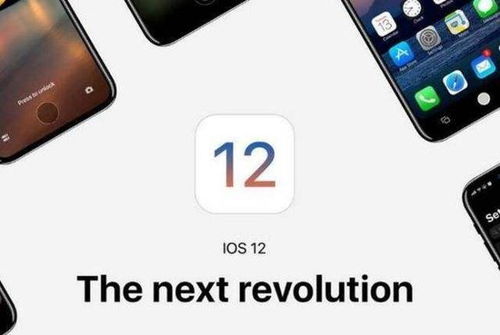 iOS高版本备份神器——OP_v10.206解析方案