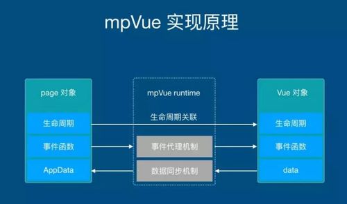 电视大师官方下载,数据解析计划导向_增强版_v10.901