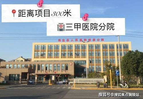 影子传说官方下载,数据说明解析 Harmony款_v1.161