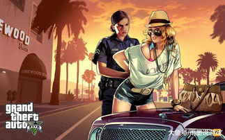 侠盗高飞游戏官方下载,资源策略实施|UHD版_v5.907