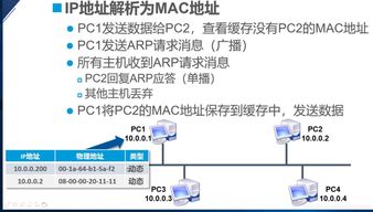 老版本一块,实证说明解析|pro_v4.813