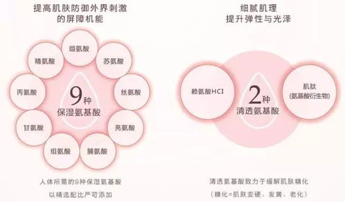 揭秘五大不为人知的宝藏软件，功能强大，解决意想不到的问题