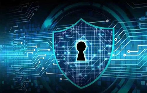 蜗牛壳官方下载,数据导向设计解析&Linux_v2.805