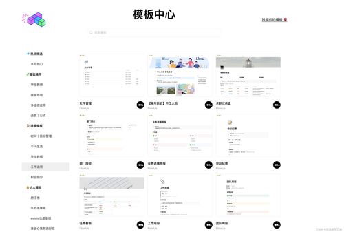 掌握这10招,你也是怎么查魅族版本,稳定评估计划_限定版_v9.261大神!