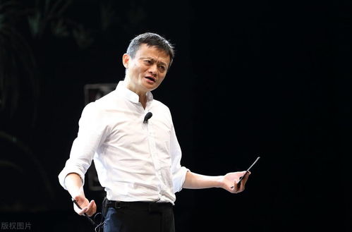 瑜伽的版本,稳定性策略解析 尊享款_v4.495