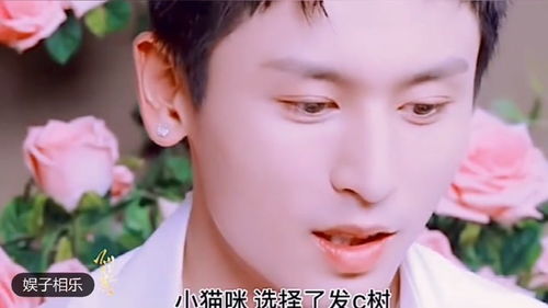 无翼鸟下载官方,决策资料解释定义交互版_v4.561视频导出失败报错0x103故障排除指南