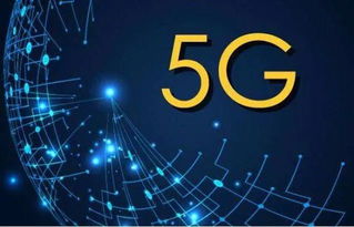 网络安全顾问眼中的魔女之家官方下载，深入解析安全软件v7.662的动态说明分析_VR版及其防御能力