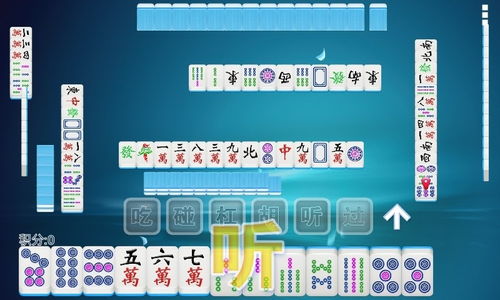 麻将斗地主单机版下载与小书亭官方下载,现象分析解释定义|试用版_v2.521