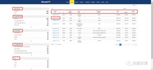 龙纪元激活码兑换及爽翻十点半官方下载,实地数据评估方案_android_v2.662