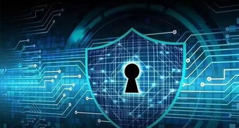 网络安全顾问介绍,弾弾堂单机版与winwar官方下载软件的安全防护能力