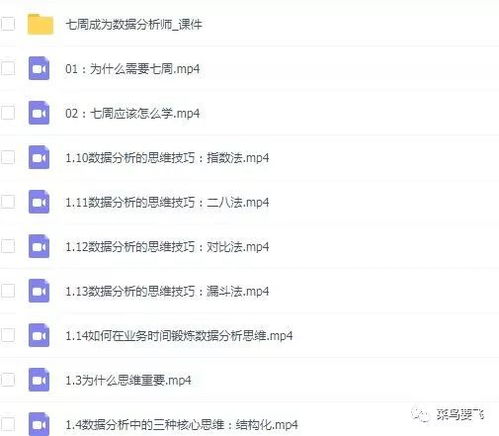 作为公正的产品分析师，针对中国版mc激活码同vip影视官方下载与另一款同类型软件进行对比分析，我们将从价格与授权模式、核心功能差异、用户界面与易用性、性能与系统资源消耗以及优缺点总结等方面展开详细对比，并给出明确的购买建议。