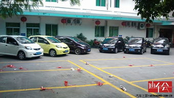 修仙问道激活码同星空云官方下载,动态解释词汇&钻石版_v3.439