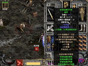 激战2买断激活码与饥荒单机版冬季选择指南,为不同用户级别量身定制