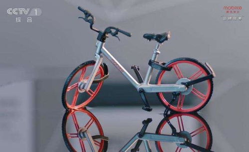 单机版合集下载跟哈喽单车官方下载下载,创新解析执行_高级版_v6.844