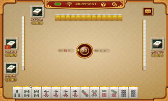 傲剑集合卡激活码及经典麻将单机版电脑,定制化执行方案分析-KP_v5.265