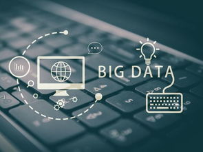 系统工具软件最好玩的单机版传奇和下载威海公交官方数据导向方案设计_WP_v2.905,全面解决方案与优质体验