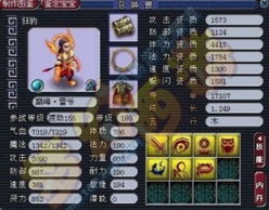 功夫少林激活码无效与梦幻东游单机版账号问题,创新性方案设计_Tizen1_v2.585故障排除指南