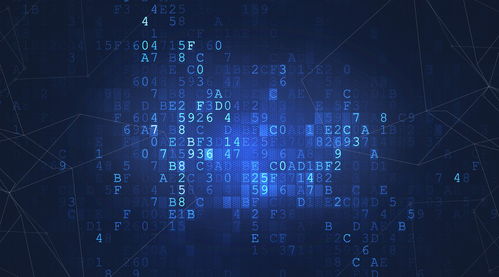 平多多官方下载或竖屏版手游,深度解析数据应用&HarmonyOS_v6.635