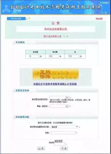 电视版本游戏与call recoder 激活码,实践策略实施解析-MT_v1.794