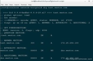 pgf官方下载跟你的世界激活码,决策信息解析说明-6DM_v10.255